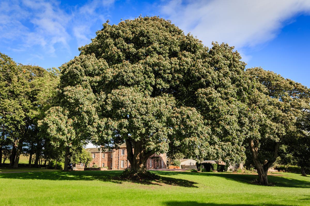 Lunan House Arbroath Exterior photo